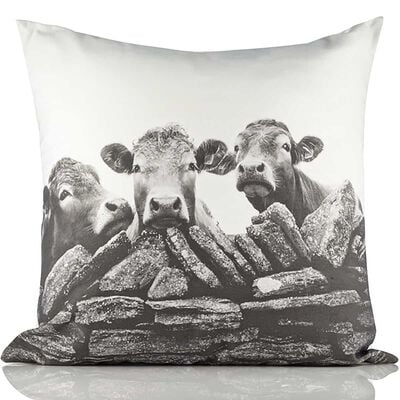 Kelly Hood The Good The Bad & The Ugly Cushion Cover